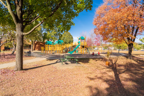 Playground in an autumn park with colorful trees.