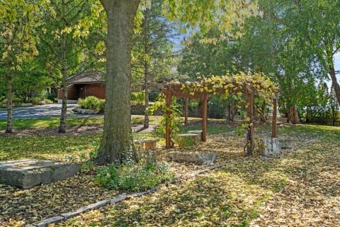 A peaceful outdoor area with a wooden gazebo and trees shedding yellow leaves.