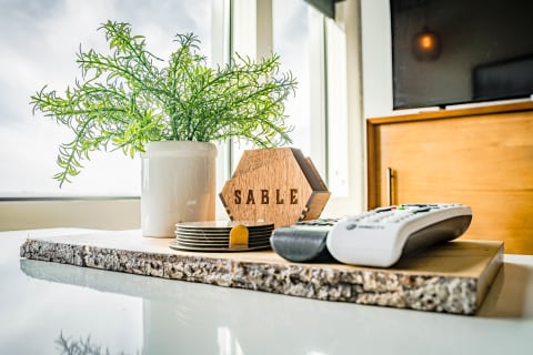 A decorative tabletop with a potted plant, a wooden sign labeled 'SABLE', coasters, and a remote control.