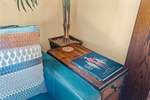Teal couch with a decorative cushion beside a side table featuring a large book and a plant.